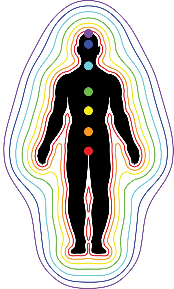 human energy flux