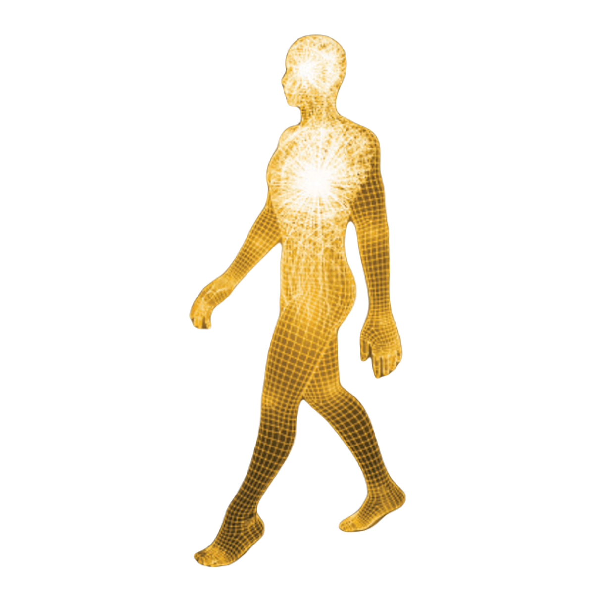 human chakra